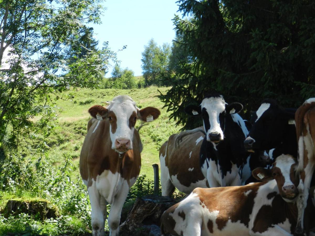 Biohof Vorderreith Alloggio per agriturismo Jochberg