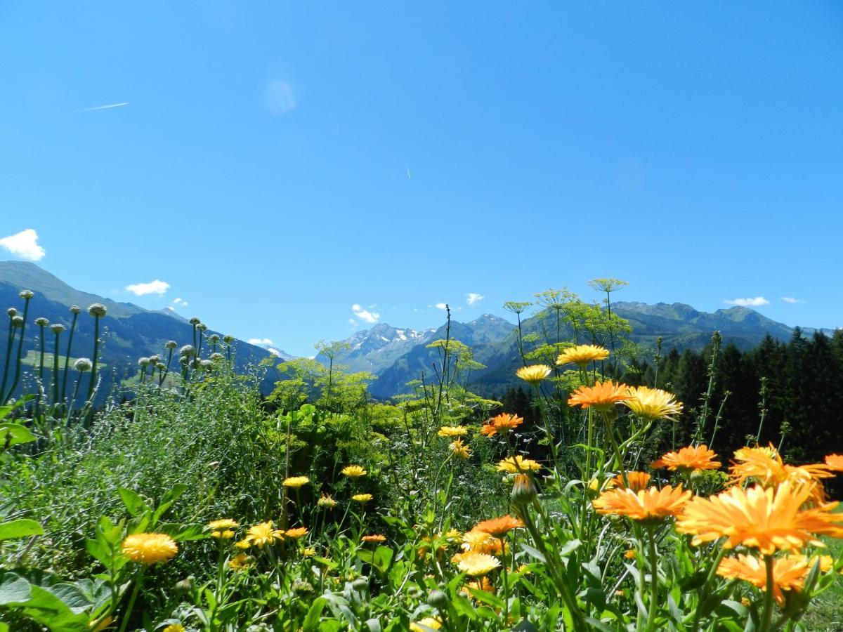 Biohof Vorderreith Alloggio per agriturismo Jochberg